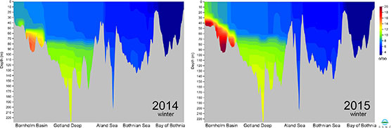 Salinity